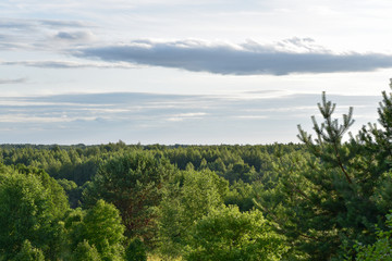 Sky with clouds over a dense forest.