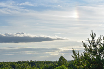 Sky with clouds over a dense forest.