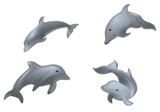 Illustration  set of swimming dolphins isolated on white background