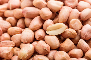 Peanuts on a white background