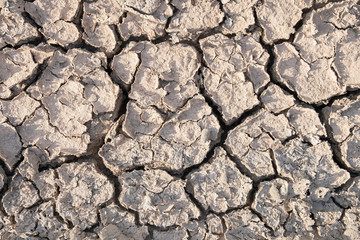 The soil has cracks in the top view of the background or graphic design with the concept of drought and death. texture and background