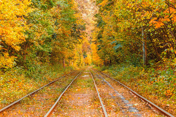 Autumn forest through which an old tram rides (Ukraine)