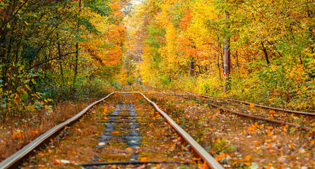 Autumn forest through which an old tram rides (Ukraine)