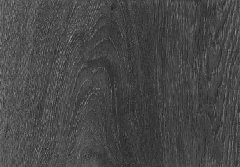  The wood texture - black and white grunge lines planks blank gray background