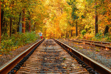 Obraz premium Autumn forest through which an old tram rides (Ukraine)