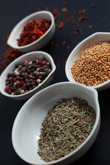 Paprika, mustard, caraway seeds and a mixture of peppercorns in white ceramic bowls next to the mortar isolated on black background
