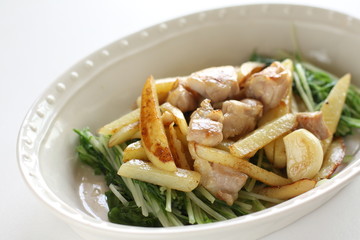 Chinese food, potato and chicken stir fried