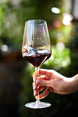 hand holding a glass of white wine