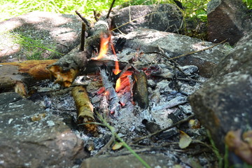 fire in the stone hearth in the forest