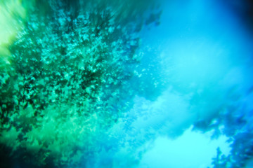 Fototapeta na wymiar Abstract blurry psychedelic background. Lomography magic landscape. Trees against the sky. Soft focus. Green and blue colors.