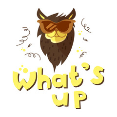 Funny vector cat in sunglasses illustration