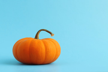 Decorative pumpkin, squash or gourd with blue background