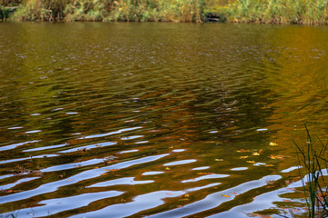Cold lake, Autumn leaves, yellow red trees, nature background