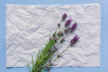 A postcard of crumpled kraft paper with small lavender sprigs in bouquet