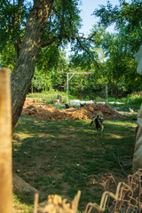 places to visit in forests and gardens