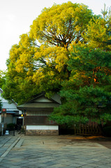 Tokyo, Japan, Ueno Toshogu, a souvenir wooden house on the side is also a historic building