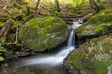 Bach mit Wasserfall im Herbstwald