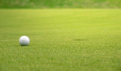 Golf ball on the green