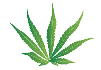 Cannabis marijuana leaf, Cannabis sativa vector