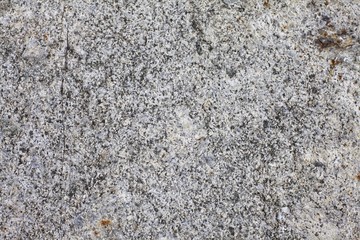 Dark brown marble flooring