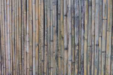 Close up of bamboo wall background texture, free space for design text or pictures