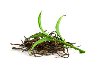 beetle isolated on white background