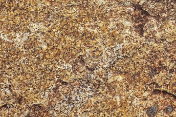 Dark brown marble flooring