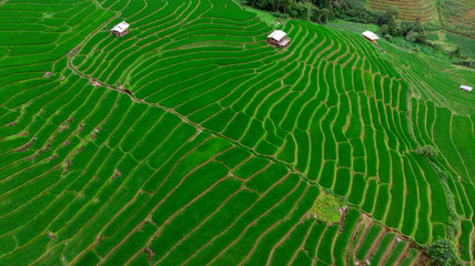 Terraced Paddy Field in Mae-Jam Village , Chaingmai Province , Thailand
