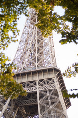 Eiffel tower in the green in Paris in France September 2019