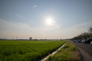 佐倉ふるさと広場