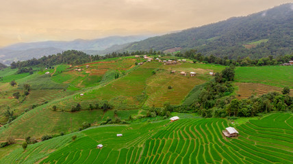 rice terraces in vietnam