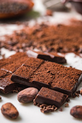 Cocoa beans pods, chocolate bar pieces, cocoa powder