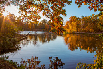 beautiful autumn landscape with falling leaves in the lake