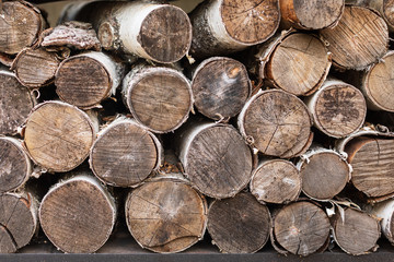 Birch firewood stacked in woodpile. Pile of birch logs, close up