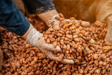 coffee beans in burlap bag