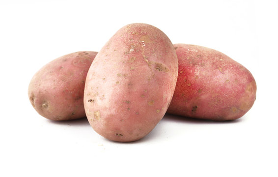 red potato on a white background
