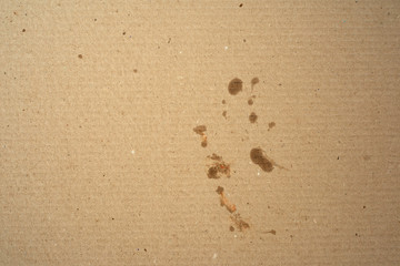 fragment of a brown paper sheet of a box with greasy stains,