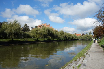 Fototapeta na wymiar Ljubljana river image with willows