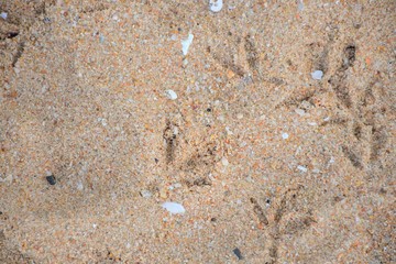 texture of sand