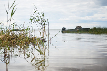 Shore of the Pskov lake, reed, boat in the distance