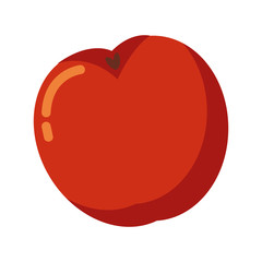 acorn autumn fruit seasonal isolated icon