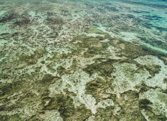 La Digue - Seychelles