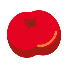 acorn autumn fruit seasonal isolated icon