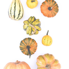 Autumn flat lay on an isolated white background made of pumpkins.