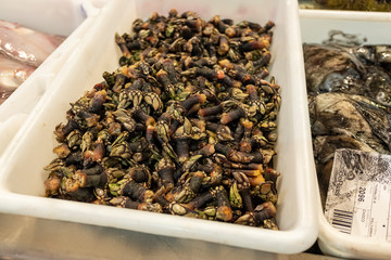 Caja de percebes, Pollicipes pollicipes,  frescos en el mercado municipal de Santiago de Compostela. Galicia, España.