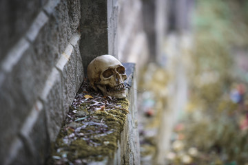  The skull of a man lies on a stone fence, close-up. Horrors in an abandoned house on Halloween