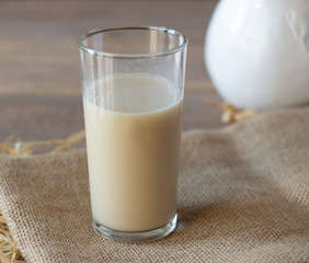 Oat milk in glass. Alternative lactose free vegan friendly plant milk
