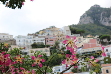 View of Positano - Itay