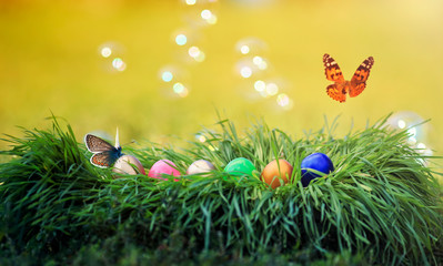 butterflies flutter on festive Easter background with multicolored eggs in green grass in Sunny clear spring day