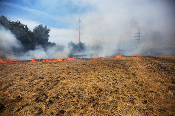 Fototapeta na wymiar Dry forest and steppe fires completely destroy fields and steppes during severe drought. Disaster causes regular damage to the nature and economy of the region. Field Lights Farmer Burns Straw